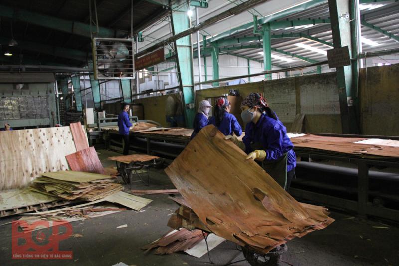 Bắc Giang: Phấn đấu giải quyết việc làm cho 31.000 lao động