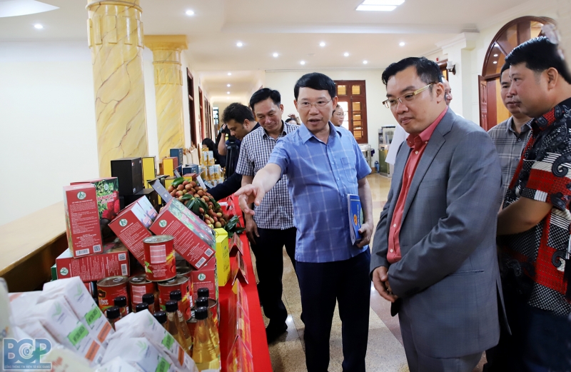 Chủ tịch UBND tỉnh Lê Ánh Dương tiếp và làm việc với Công ty Emission Resource Group INC, Hoa Kỳ (ERG)