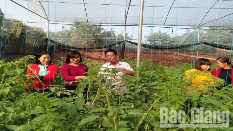 Hỗ trợ sản xuất nông nghiệp ứng dụng công nghệ cao