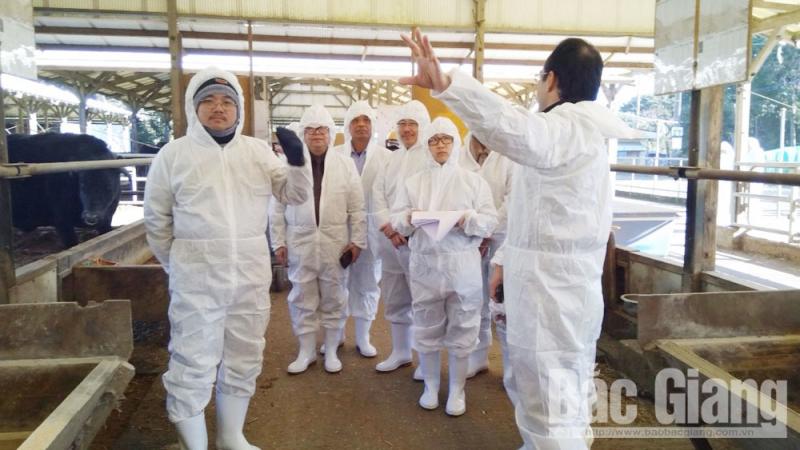 Kinh nghiệm sản xuất nông sản theo chuỗi tại Nhật Bản
