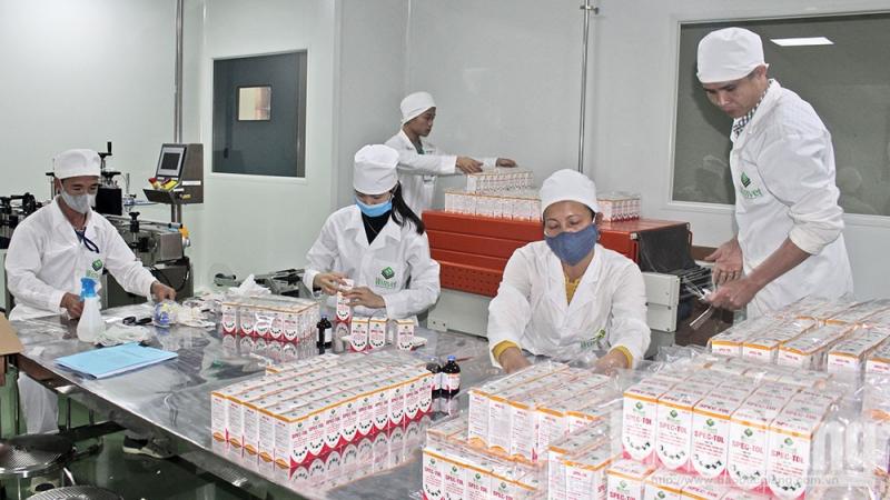 Hoàn thiện hạ tầng, thu hút đầu tư vào cụm công nghiệp