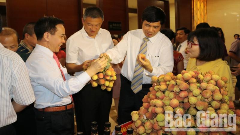 Cùng nhau thúc đẩy xây dựng “cánh cửa” thương mại mới