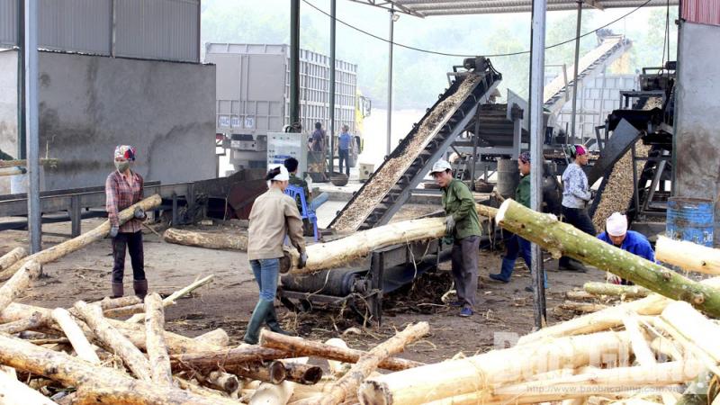Doanh nghiệp nhỏ “khát” lao động phổ thông