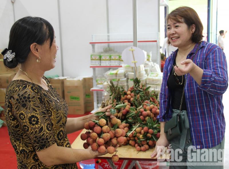 Nhìn lại vụ vải thiều 2019: Tăng chất lượng, hiệu quả