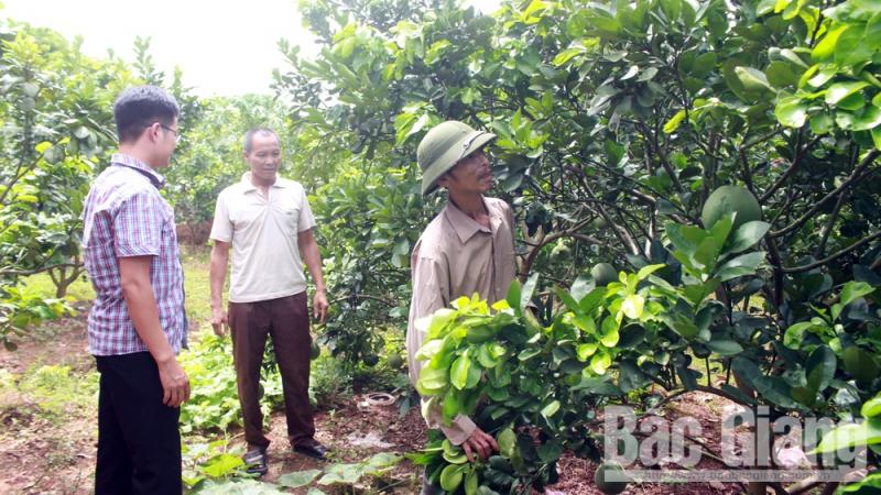 Lục Ngạn: Tháo gỡ vướng mắc trong phát triển đô thị