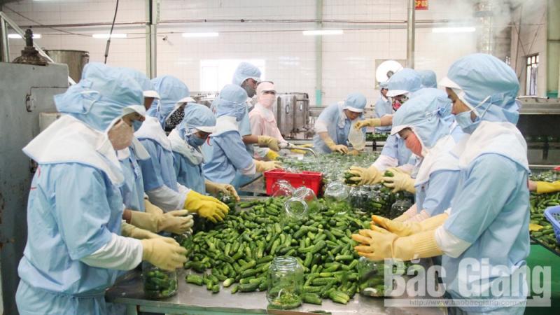 Hiệp định thương mại tự do Việt Nam – Liên minh châu Âu (EVFTA): Không chỉ là cơ hội