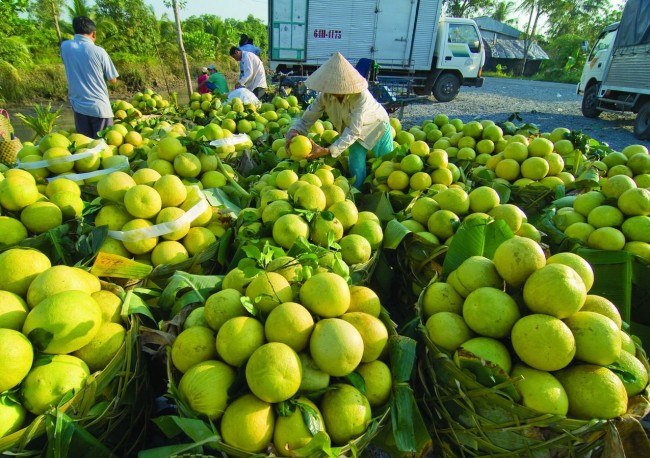 ‘Giấy thông hành’ để gia nhập đội ngũ doanh nhân thế giới