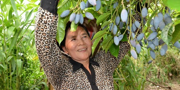 Điều chỉnh Quy hoạch sử dụng đất đến năm 2020 của huyện Hiệp Hòa