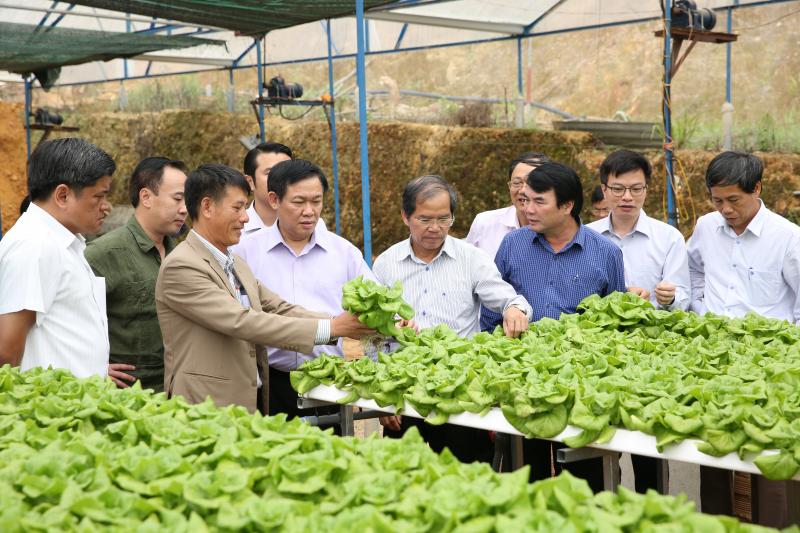 Đẩy mạnh truyền thông về HTX kiểu mới để lan tỏa hiệu quả