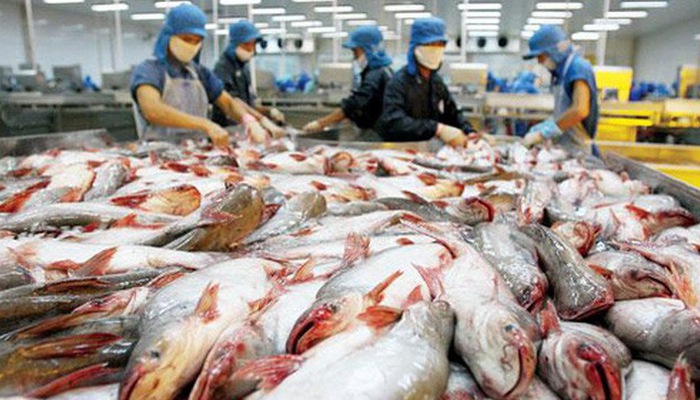 Cá tra Việt bán chạy tại Nhật Bản