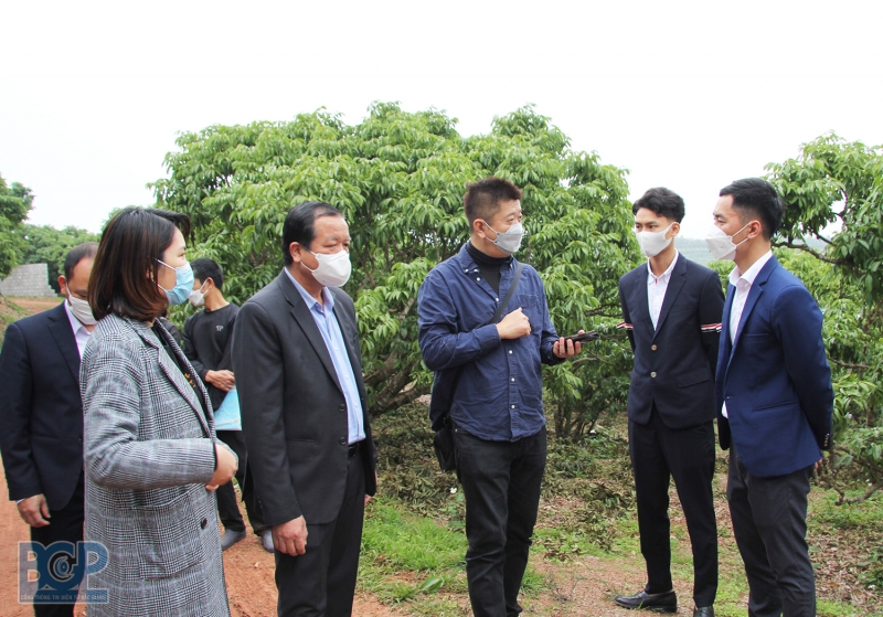 Bắc Giang chủ động mở rộng thị trường xuất khẩu vải thiều sang Nhật Bản